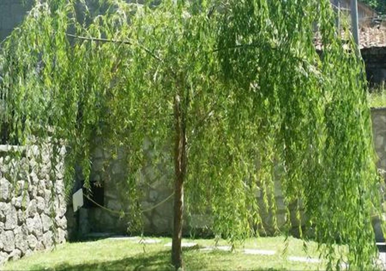 La Villetta In Montagna Vivo dʼOrcia Екстериор снимка